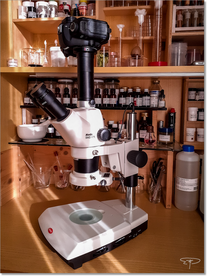 microscopio stereoscopico