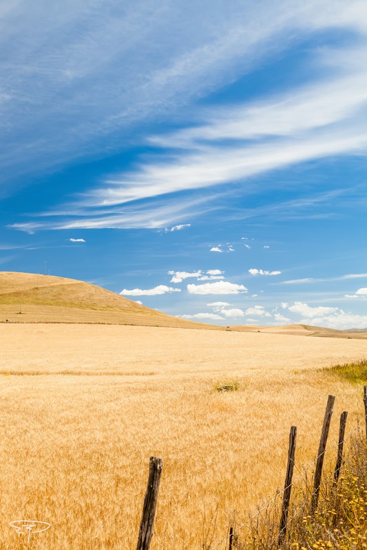 colline degli erei