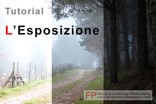 tutorial esposizione