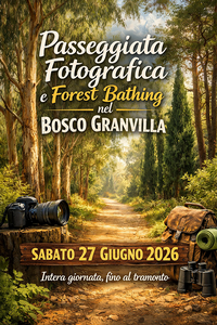 passeggiata nel bosco granvilla